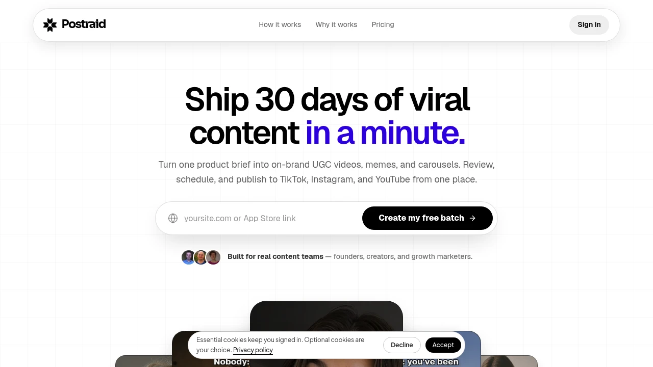 Screenshot of Postraid website